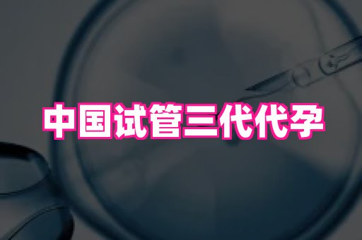 哈尔滨助孕网 2