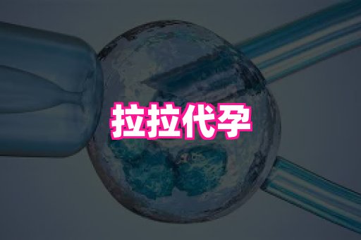哈尔滨助孕网 3