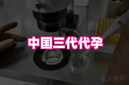 哈尔滨助孕网 4